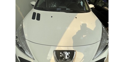 Profile/P.jpg