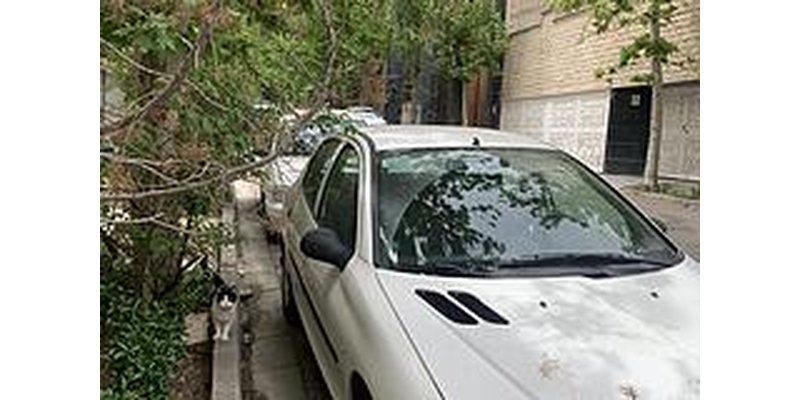 Profile/p1_je4LSrv.jpg